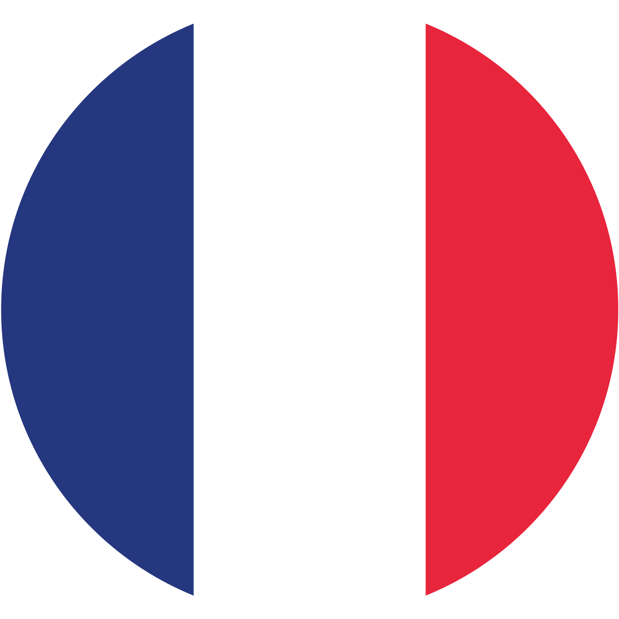 Bandiera francese